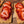 Protein Lentil Crispbread